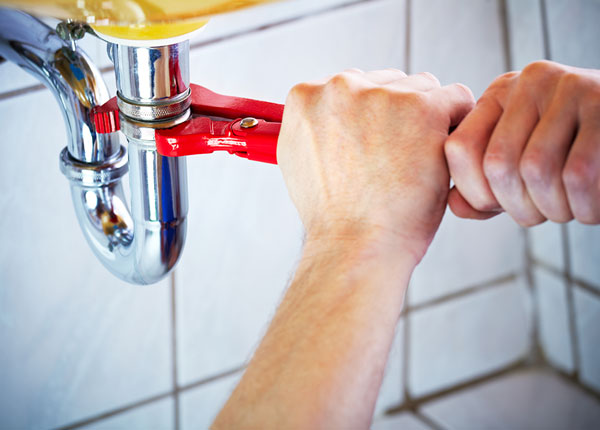 About Paragon Plumbers